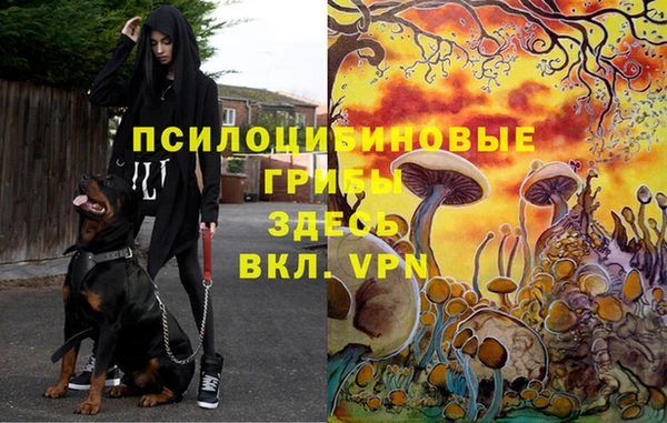стафф Пролетарск